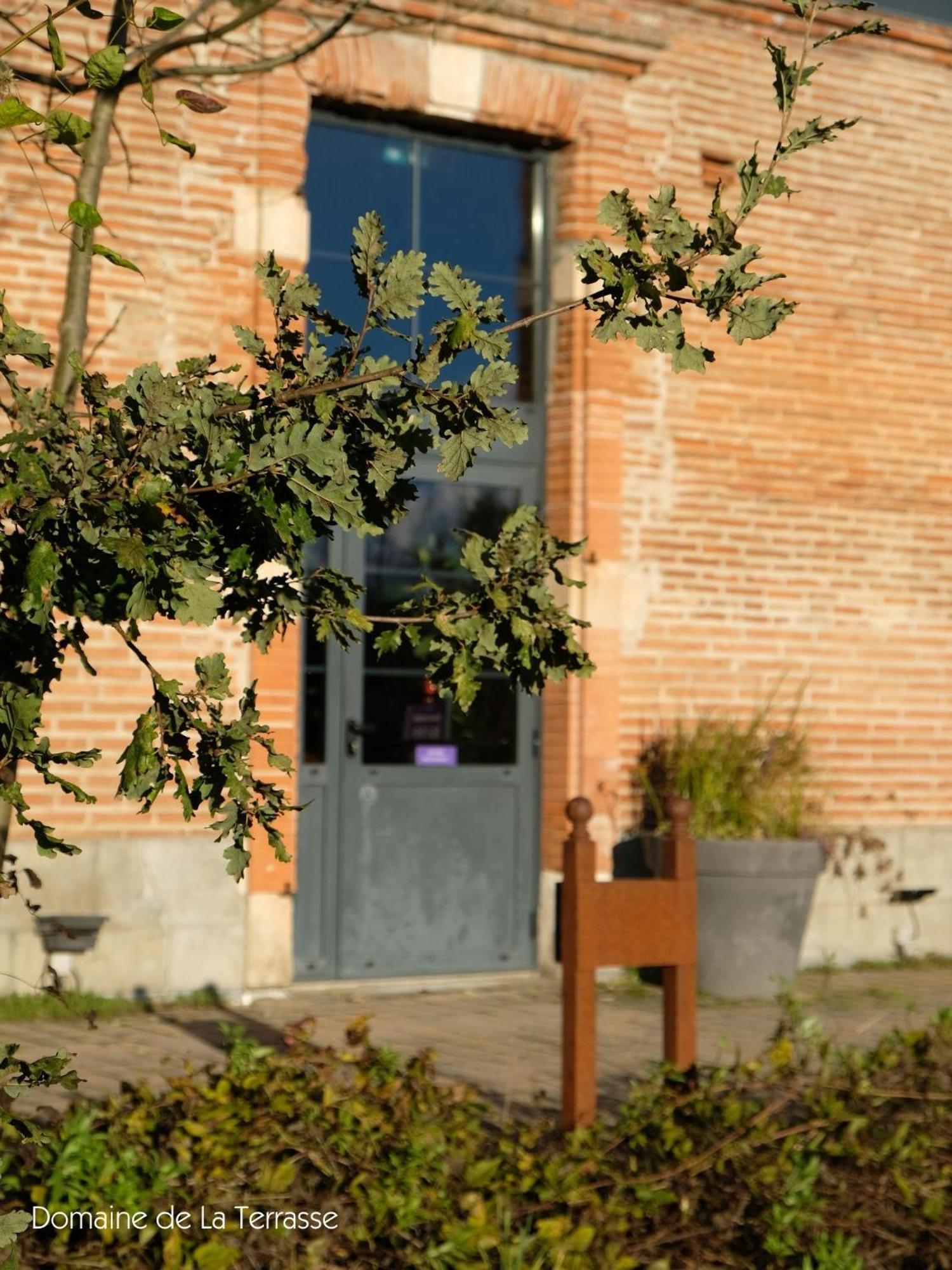 Ferienwohnung Domaine De La Terrasse Carbonne Exterior foto