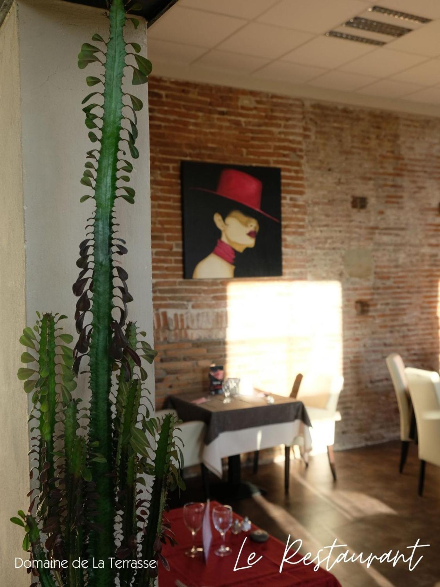 Ferienwohnung Domaine De La Terrasse Carbonne Exterior foto